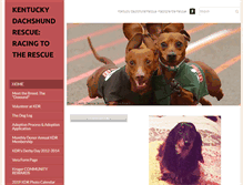 Tablet Screenshot of kentuckydachshundrescue.com